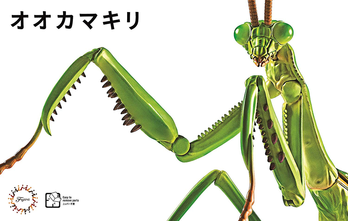 Fujimi Biology Edition Big Mantis [FI No.23] Plastic Model Kit