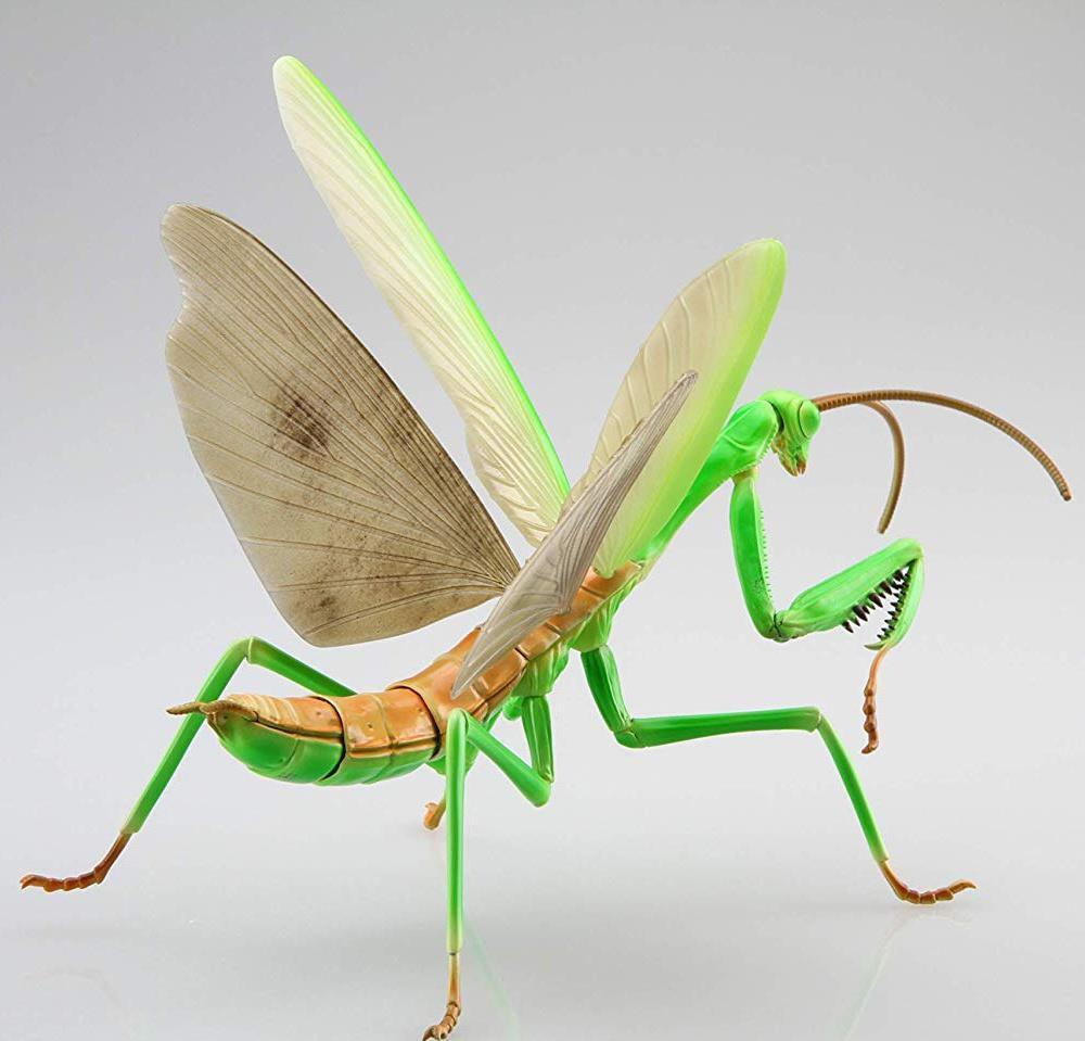 Fujimi Biology Edition Big Mantis [FI No.23] Plastic Model Kit