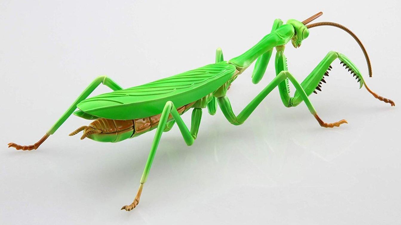 Fujimi Biology Edition Big Mantis [FI No.23] Plastic Model Kit