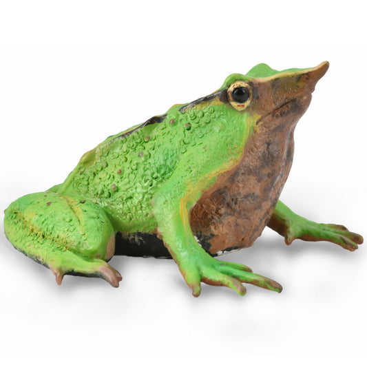 CollectA Darwin's Frog