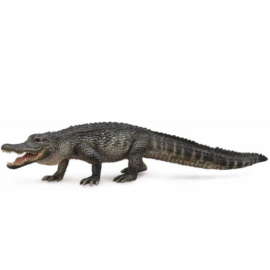 CollectA American Alligator