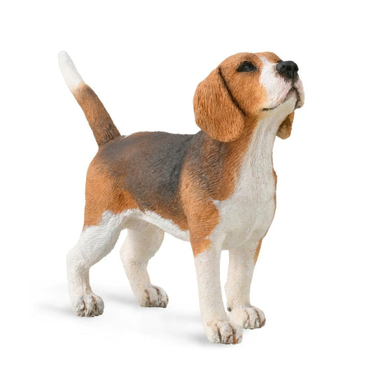 CollectA Beagle