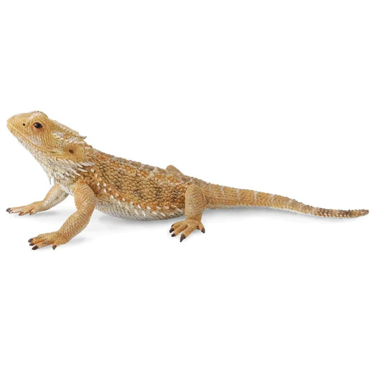 CollectA Dragon Lizard