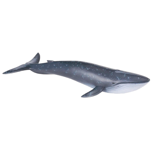 CollectA Blue Whale