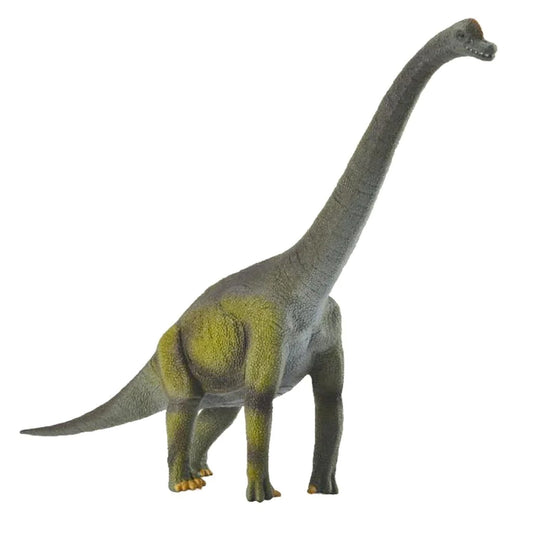 CollectA Brachiosaurus