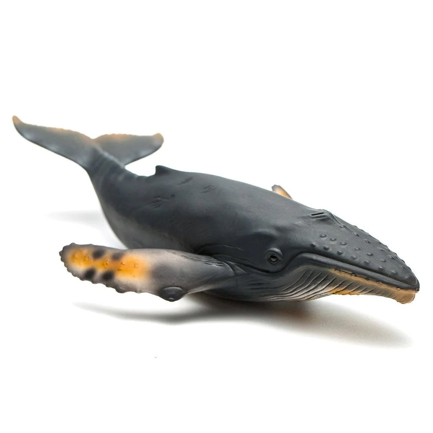 CollectA Humpback Whale