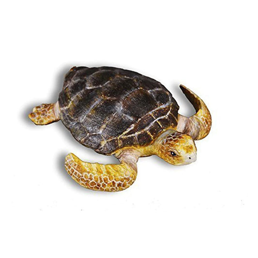 CollectA Loggerhead Turtle