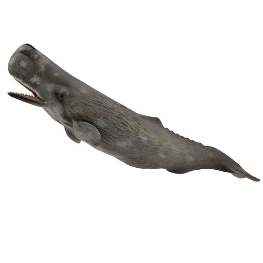 CollectA Sperm Whale