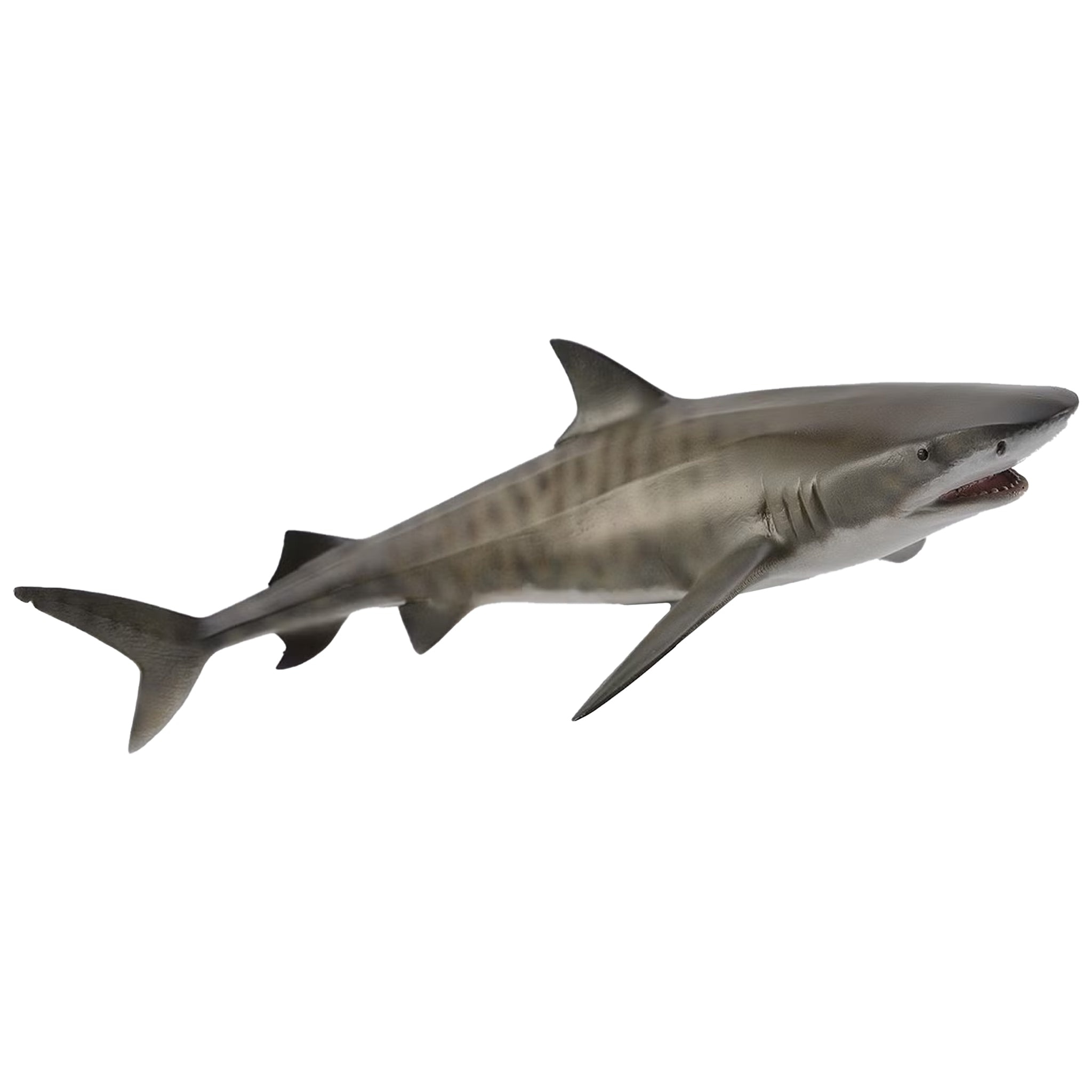 CollectA Tiger Shark – Franklin Hobbies Ltd