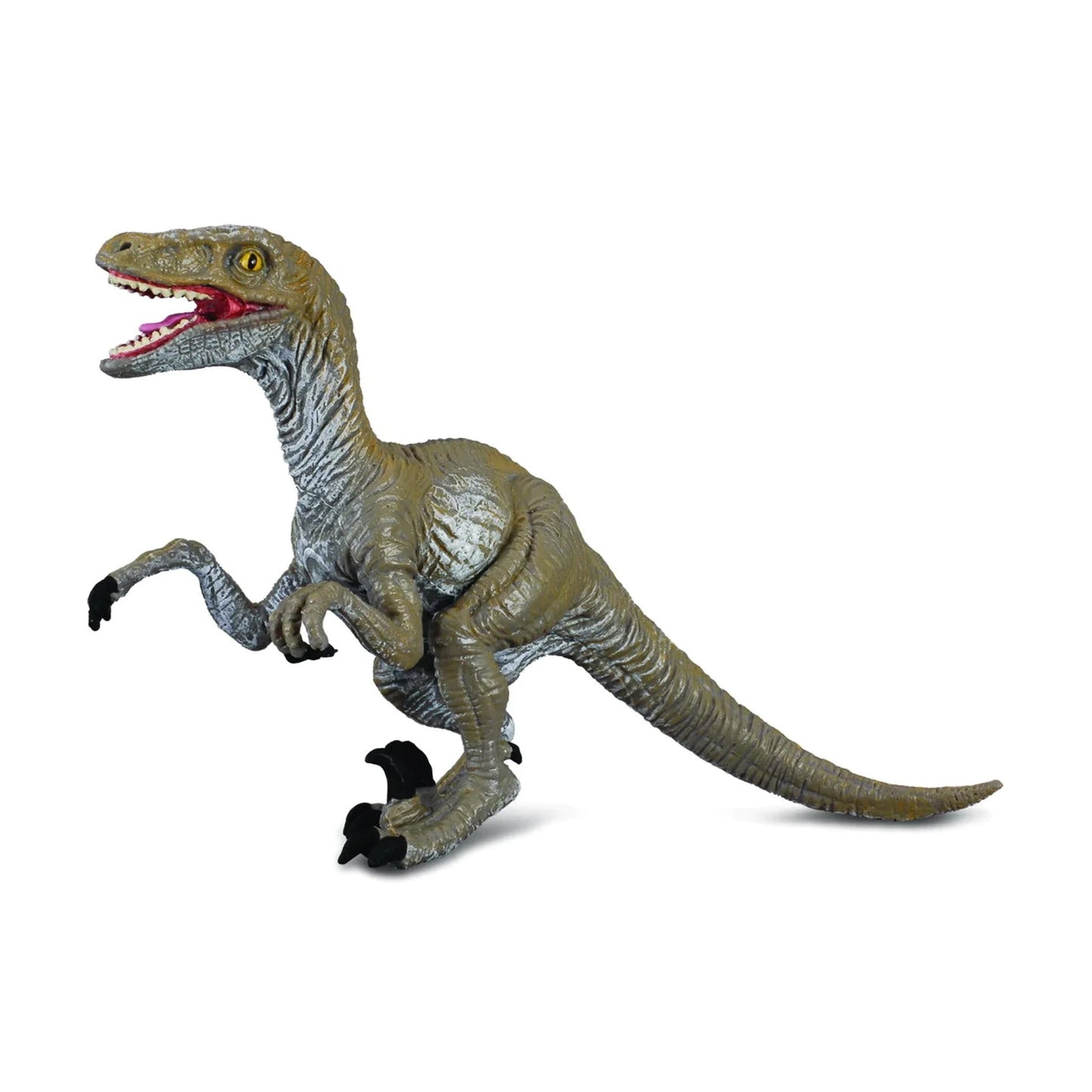 CollectA Velociraptor