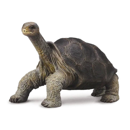 CollectA Pinta Island Tortoise George