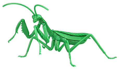 Fujimi Biology Edition Big Mantis (Metallic Green) (FI No.23 EX-3) Plastic Model Kit [17111]