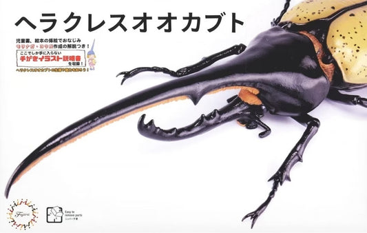 Fujimi Biology Edition Dynastes Hercules You Morinaga Explanatory notes and Instructions ver.  Plastic Model Kit