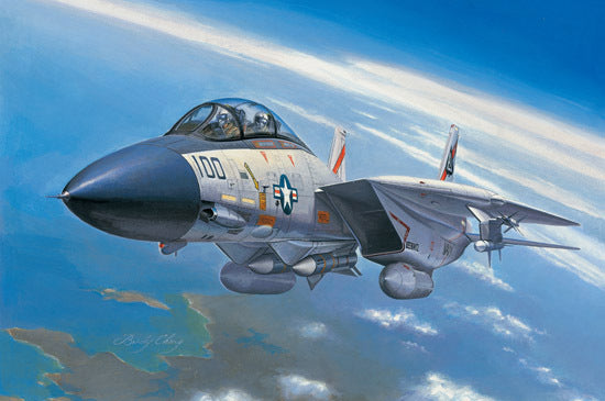 HobbyBoss 1/72 F-14A Tomcat Plastic Model Kit