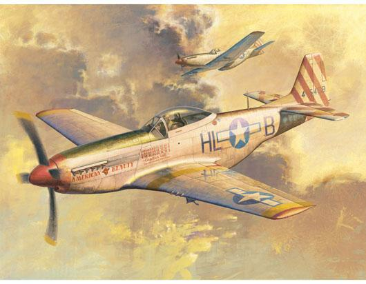 Trumpeter 1/32 P-51 D Mustang